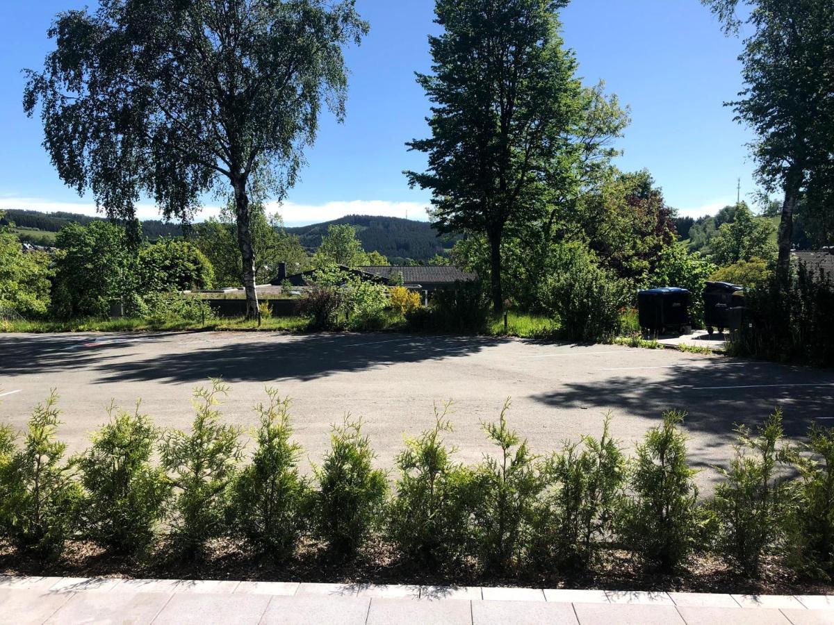 Alte Schule Winterberg Luxury Apartments Εξωτερικό φωτογραφία