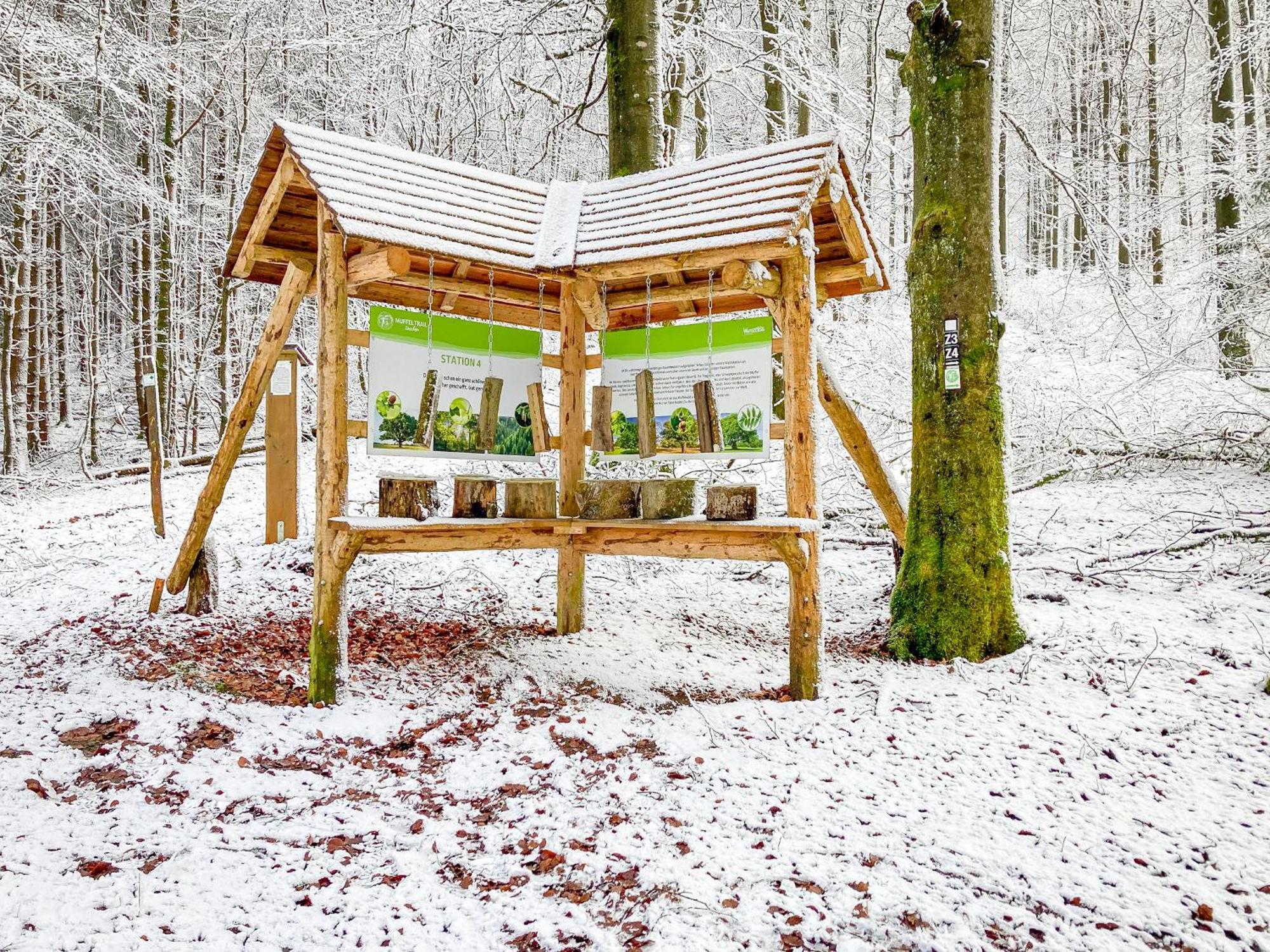 Alte Schule Winterberg Luxury Apartments Εξωτερικό φωτογραφία