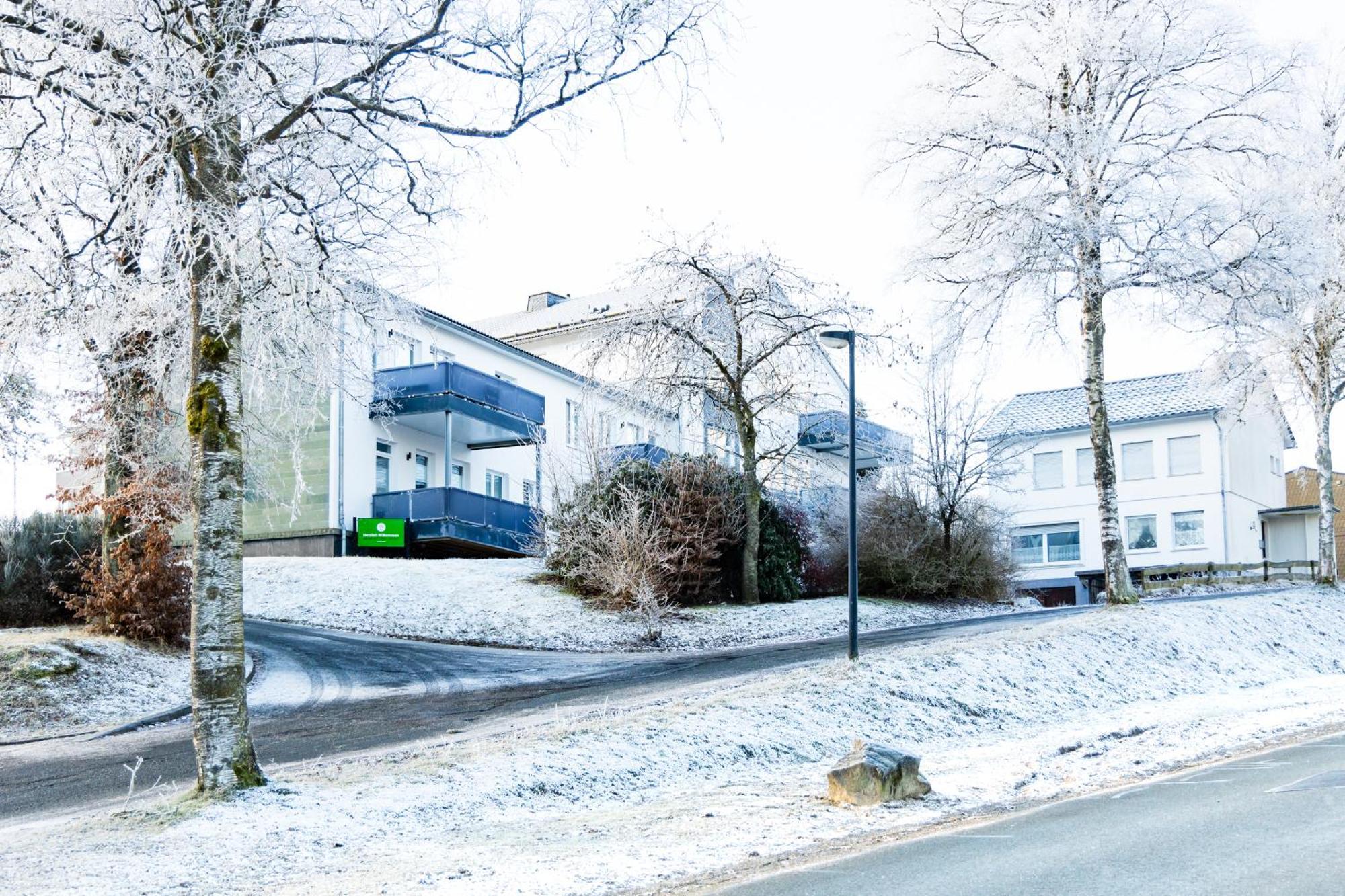 Alte Schule Winterberg Luxury Apartments Εξωτερικό φωτογραφία