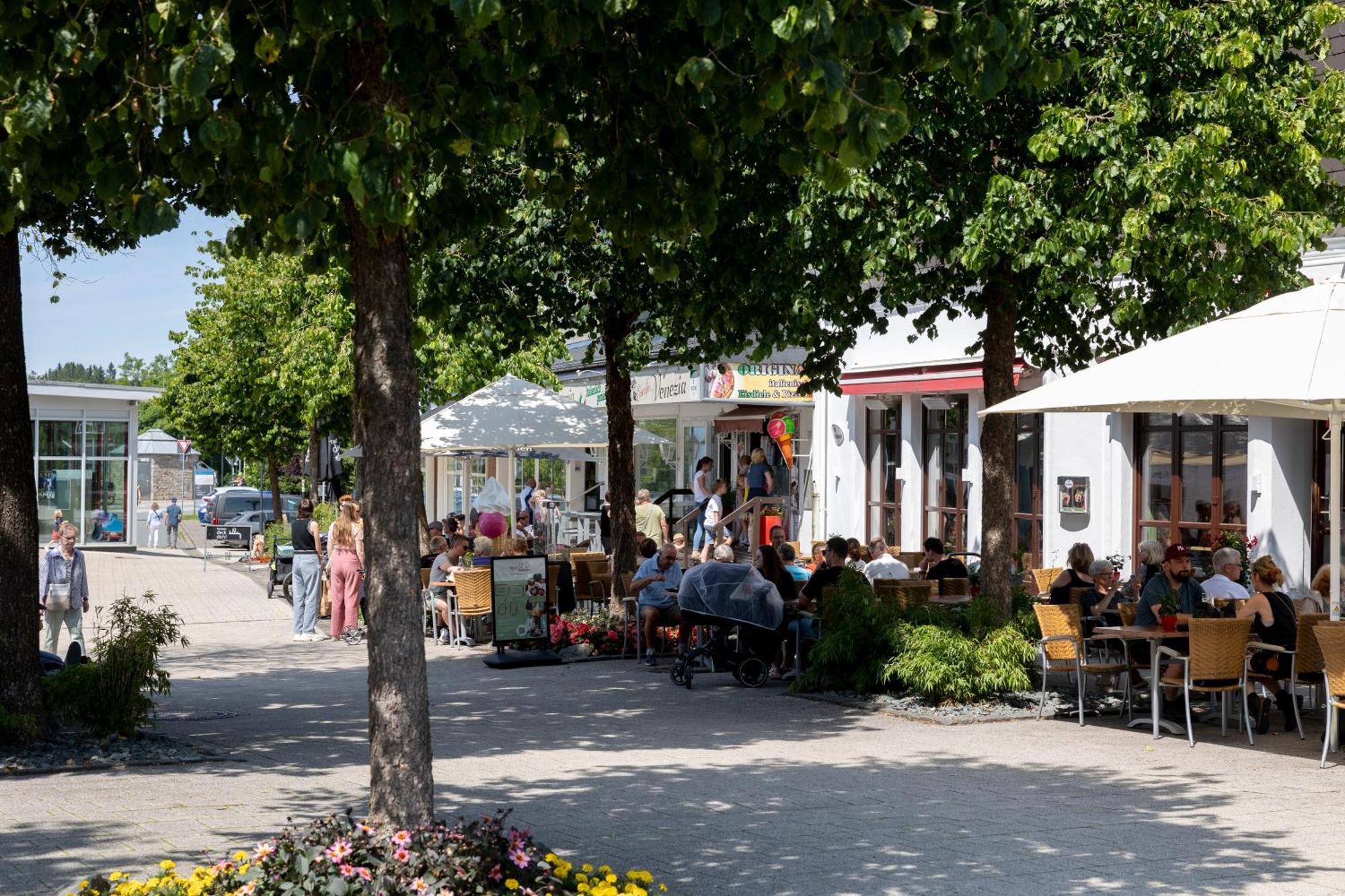 Alte Schule Winterberg Luxury Apartments Εξωτερικό φωτογραφία